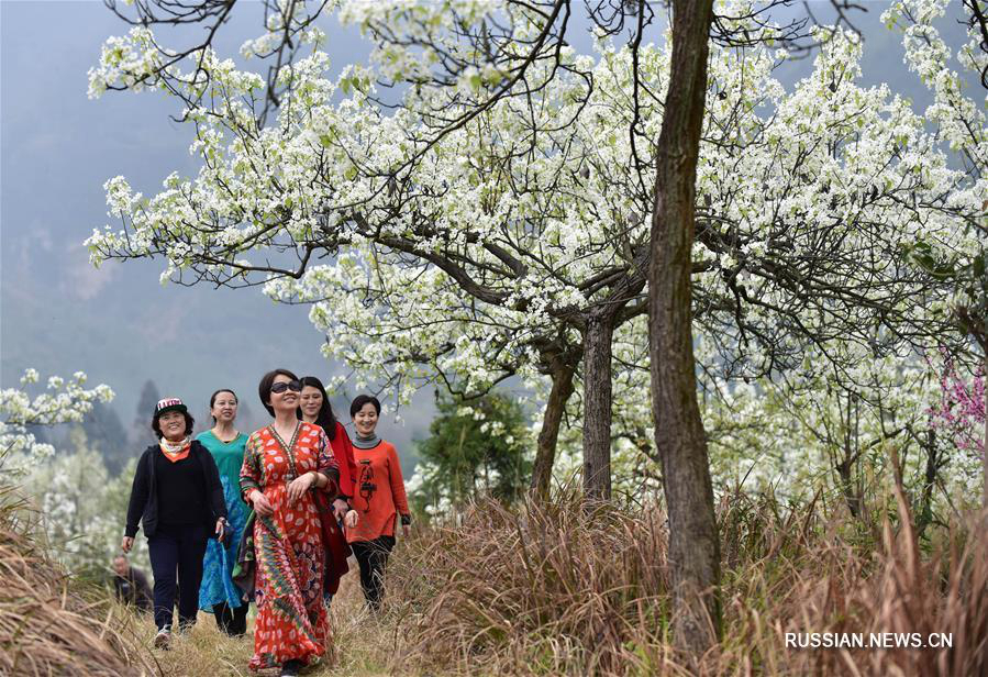 Весна в сычуаньских горах