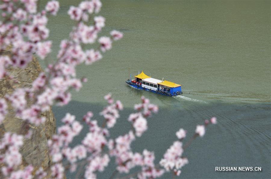 Весеннее цветение на водохранилище Люцзяся