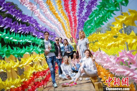 Фестиваль цветения рапса в Сучжоу