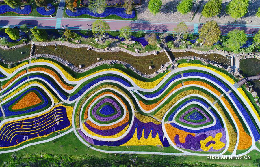 Узорные цветочные ковры в ботаническом саду Наньтуна