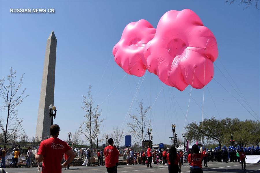 В Вашингтоне состоялся традиционный парад, посвященный фестивалю цветущей сакуры