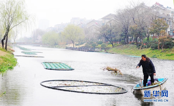 В городе Янчжоу пров. Цзянсу озеленеяют русло реки
