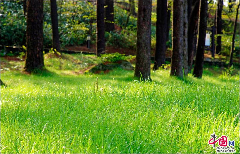 Красивые пейзажи в горах Хуаншань