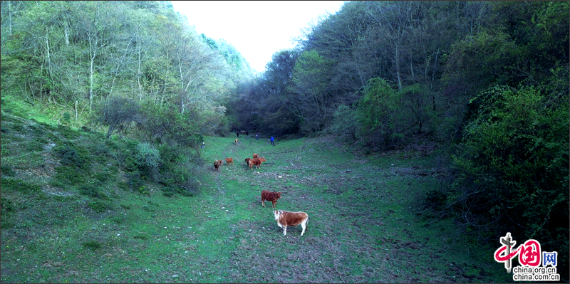 Заповедник Шуймогоу в г. Гуанъюань