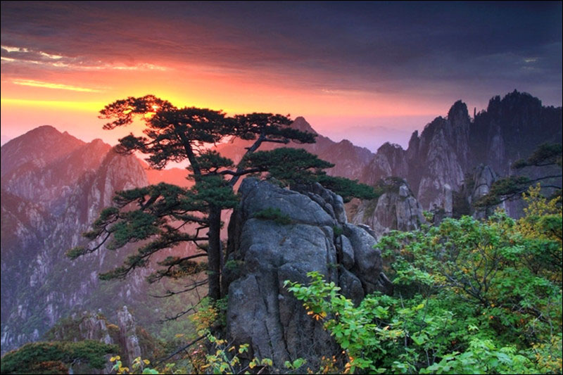 Живописные майские пейзажи в горах Хуаншань 