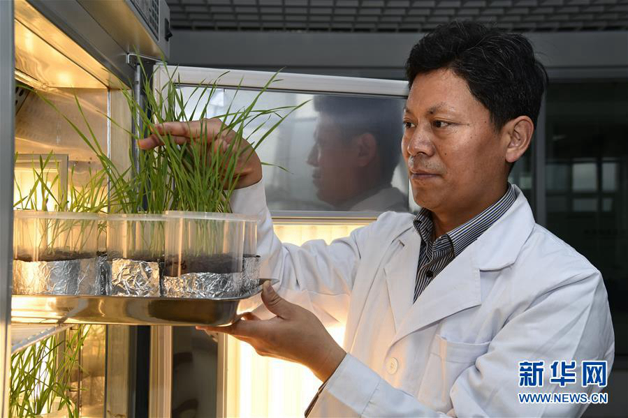  Провинция Шаньдун усиливает научно-техническое сотрудничество со странами-членами ШОС