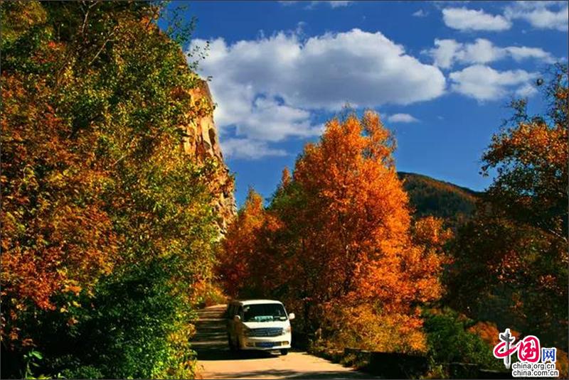 Посещение «лесного кислородного бара» лесопарка Улиншань