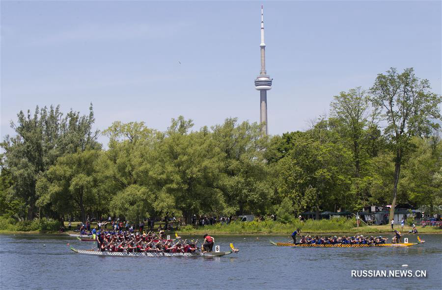 Соревнования по гребле на драконовых лодках в Торонто