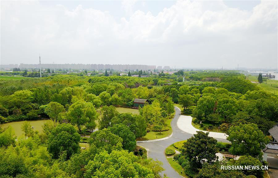 Шанхайский район Пудун с высоты птичьего полета