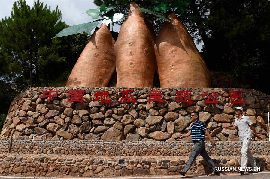 В уезде Ляньчэн открывается Китайский парк батата