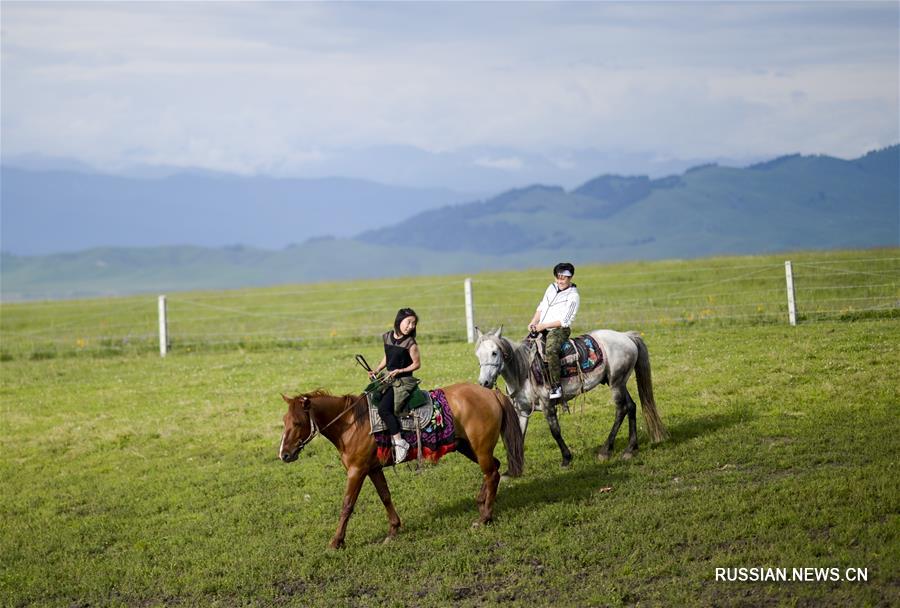 Горячий туристический сезон наступил в степи Налати в Синьцзян-Уйгурском автономном районе /Северо-Западный Китай/. Каждый день сюда приезжают около пяти тысяч туристов.
