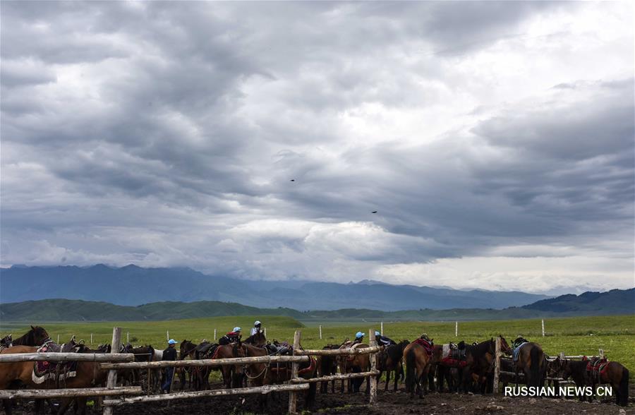 У посетителей ландшафтного парка "Нарат" в Синьцзян-Уйгурском автономном районе /Северо-Западный Китай/ особой популярностью пользуются туристические прогулки верхом на лошадях.