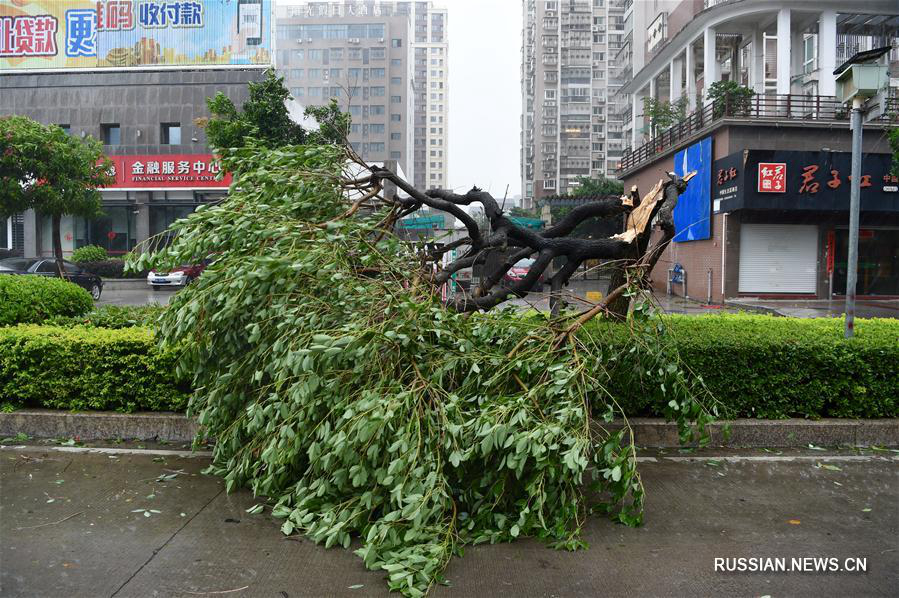 Тайфун "Мария" обрушился на пров. Фуцзянь