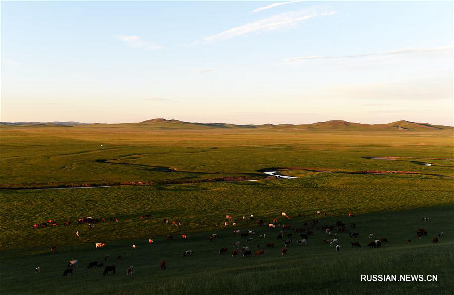 Фото: красивая степь во Внутренней Монголии