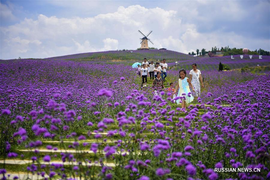 Туристы в ландшафтном парке провинции Гуйчжоу