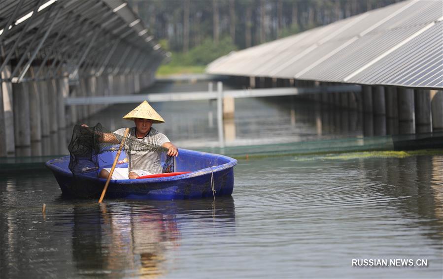 Двойное использование озера Баоинху в провинции Цзянсу помогает увеличить прибыль