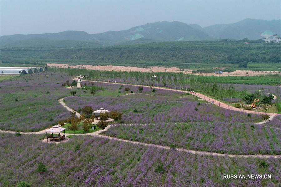 "Зеленое" развитие туризма в провинции Хэбэй