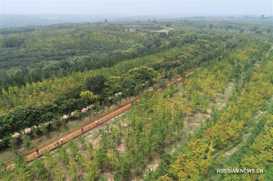 "Зеленое" развитие туризма в провинции Хэбэй