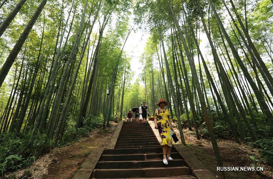 На фото: туристы погуляются и наслаждаются прохладным воздухом в Национальном лесопарке "Чжухай", который находится в городе Чишуй провинции Гуйчжоу.