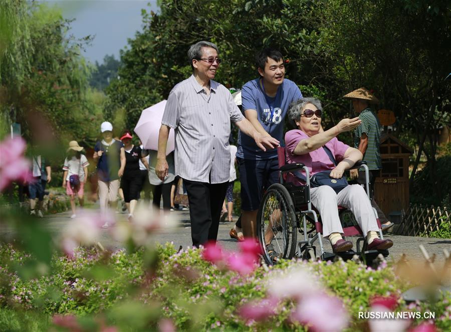 82-летний Лю Синжэнь -- вышедший на пенсию юрист из городского округа Чжанцзяцзе /провинция Хунань, Центральный Китай/, который всегда проявлял интерес к музыке. После завершения карьеры он посвятил себя своему хобби. 