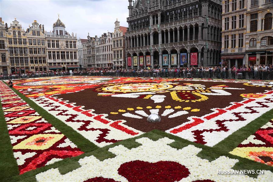 Цветочный ковер из полумиллиона бегоний украсил главную площадь Брюсселя