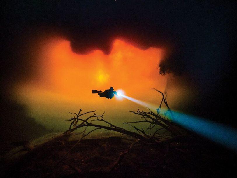 Волшебные пейзажи на дне моря: лучшие фотографии с конкурса подводной съемки-2018