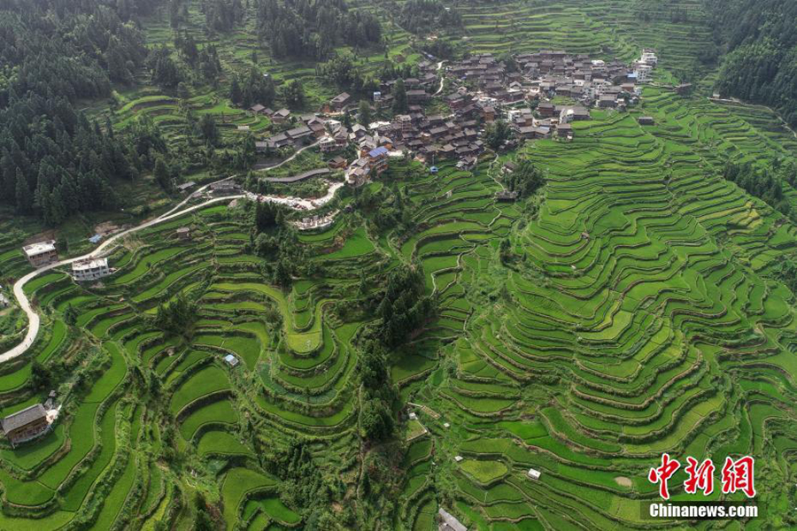 Танъань-дунская деревня в провинции Гуйчжоу с высоты птичьего полета