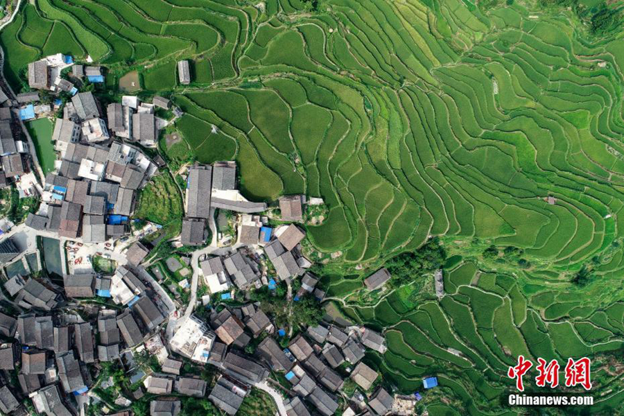Танъань-дунская деревня в провинции Гуйчжоу с высоты птичьего полета