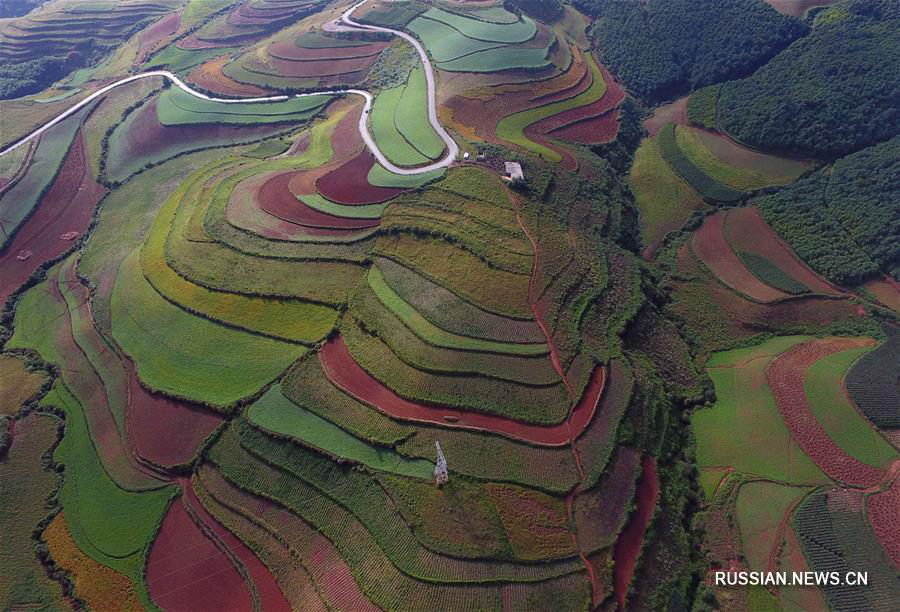 Разноцветные красноземные поля в провинции Юньнань