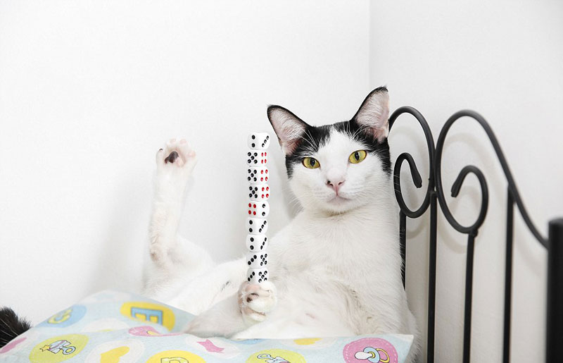 Список новых рекордов Гиннеса за 2019 год