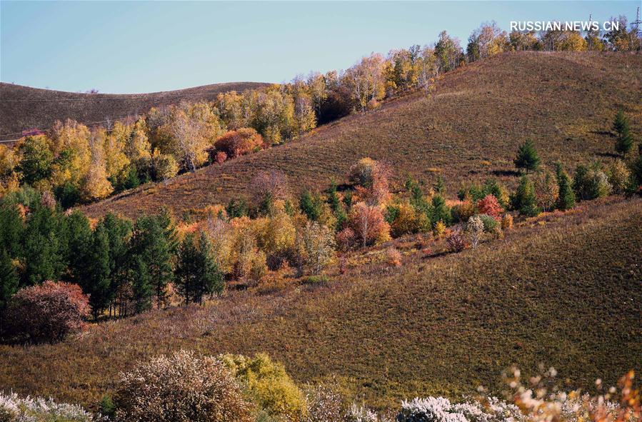Осенние пейзажи в городском уезде Аршан АР Внутренняя Монголия