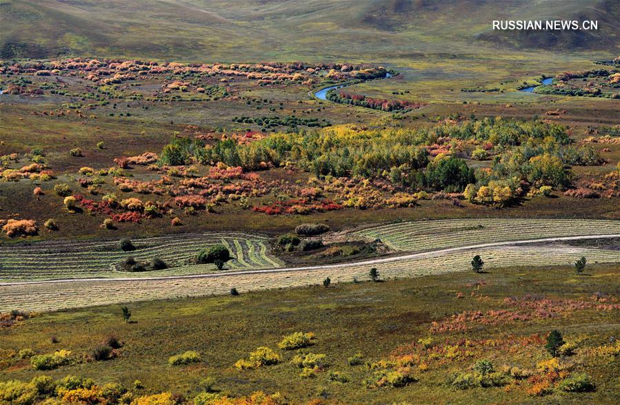 Осенние пейзажи в городском уезде Аршан АР Внутренняя Монголия
