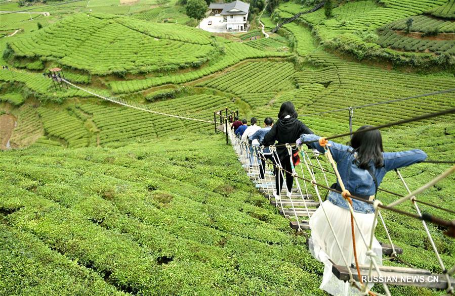 На фото -- "чайный" уезд Сюаньэнь в провинции Хубэй /Центральный Китай/. Местные чайные плантации привлекают множество туристов на праздничную неделю в честь Дня образования КНР. 