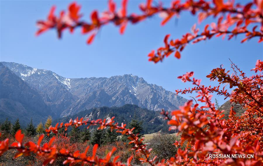 Осенние пейзажи в провинции Ганьсу