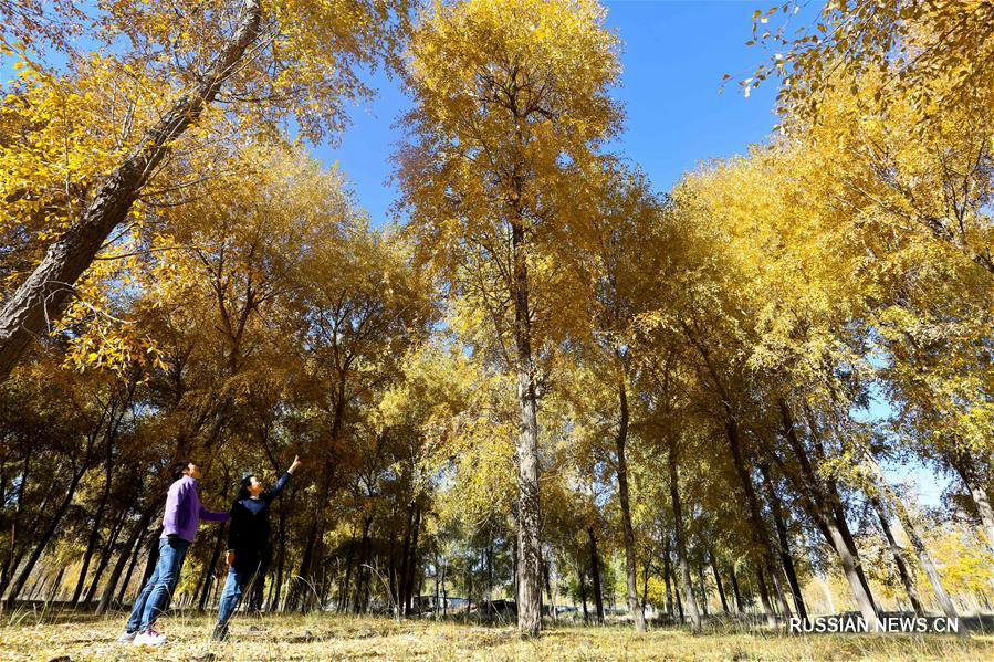 Осенние пейзажи в провинции Ганьсу