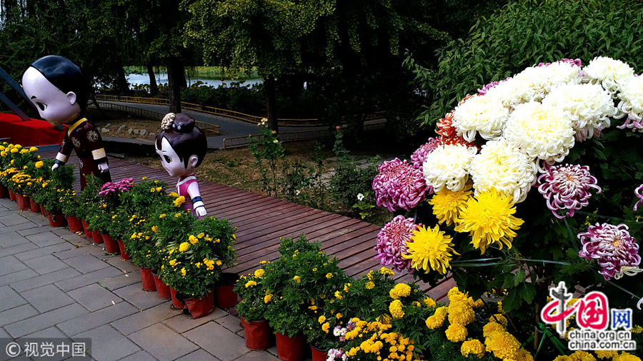 9 октября, Пекин, любование хризантемами – традиция золотой осени в парке Юаньминъюань. Каждый год золотой осенью в павильоне Ханьцюгуань проводится шикарная выставка хризантем. Выставляется около 70 драгоценных видов.