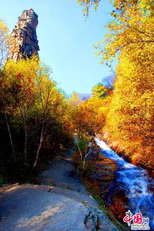 Красивые Осенние Пейзажи Природы Фото