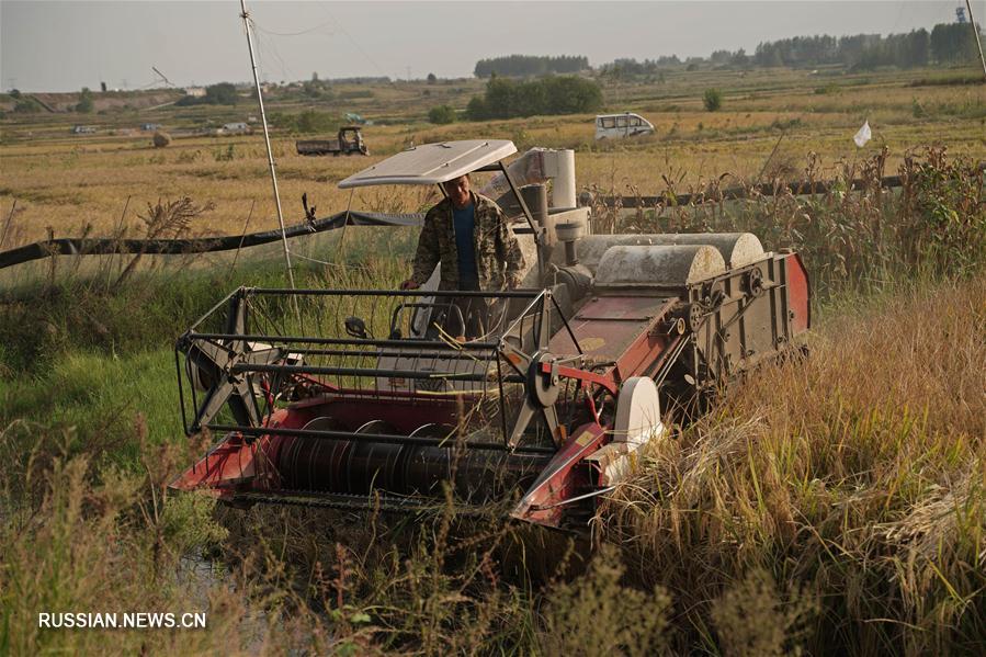 Деревня Сяоган в провинции Аньхой -- колыбель реформы в сельском хозяйстве КНР