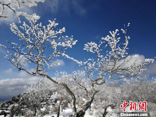 Иней украсил пейзаж гор Фэнхуаншань в провинции Хэйлунцзян