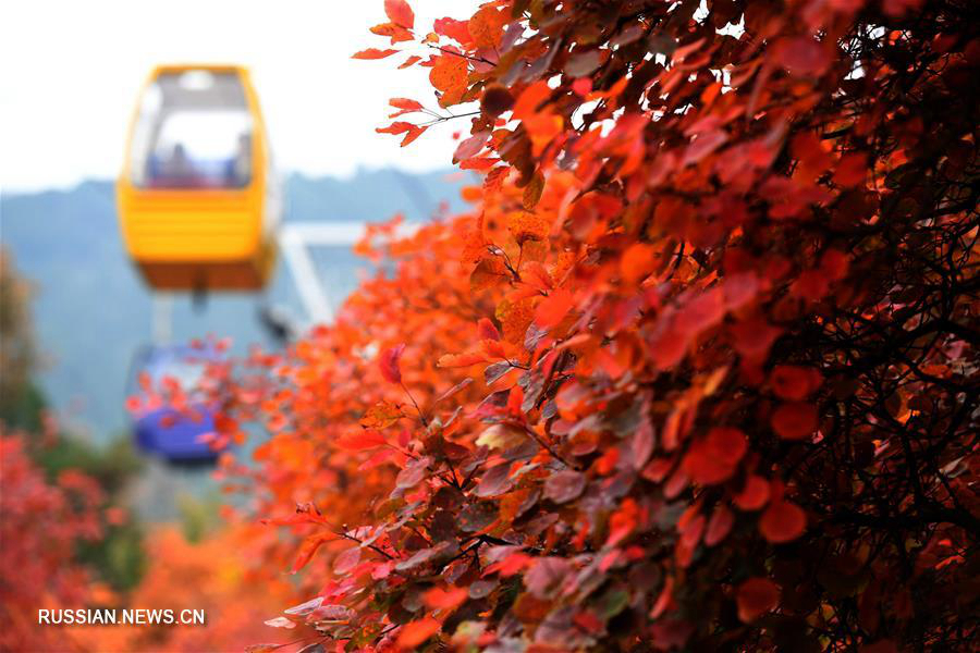 Осень в пекинском парке Бадачу
