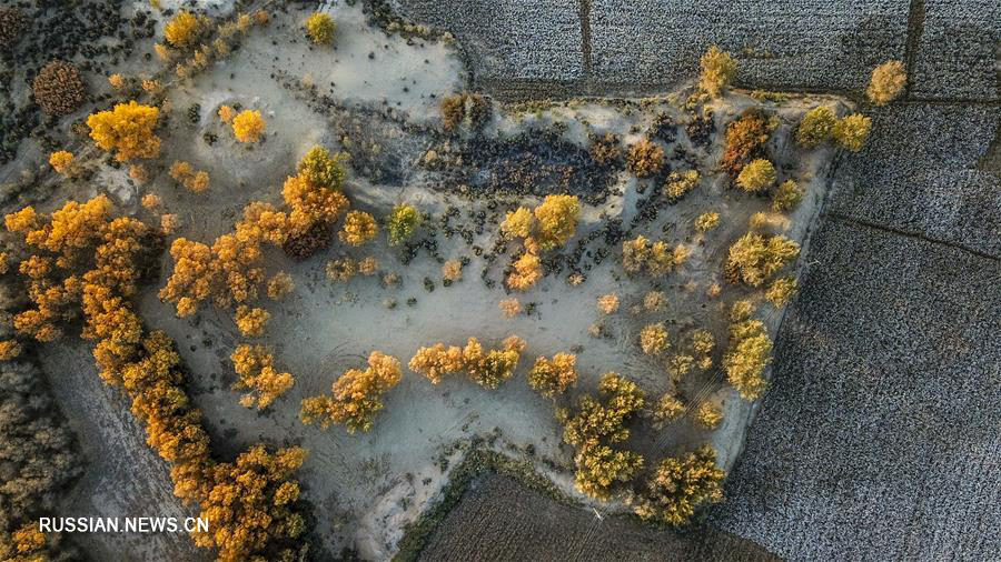 Осенние пейзажи в Синьцзяне