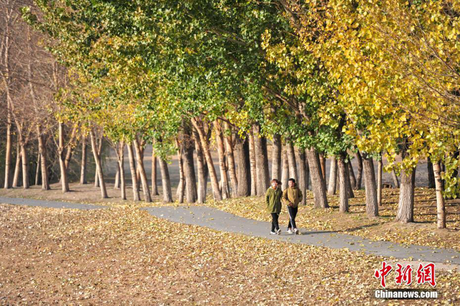 Очаровательные осенние пейзажи города Шэньян