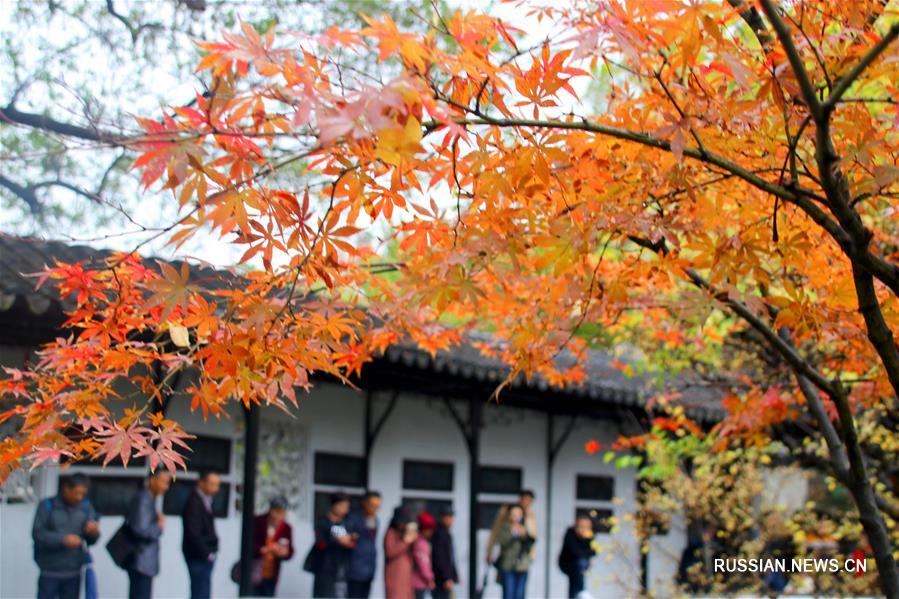 На снимке: осенний пейзаж в г. Сучжоу на востоке Китая. 7 ноября в Китае начался сезон "Становления зимы" /"Лидун"/ по традиционному китайскому сельскохозяйственному календарю.