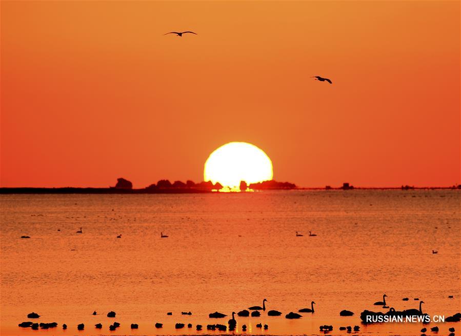На снимке восход солнца над озером Тяньэху /Лебединое озеро/ в поселке Чэншань города Жунчэн провинции Шаньдун /Восточный Китай/.