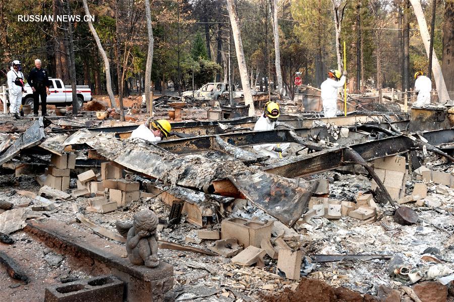 Число жертв лесного пожара в городе Парадайс на севере американского штата Калифорния и в его окрестностях возросло до 79 человек, еще около 700 человек пропали без вести. Об этом сообщил в понедельник шериф округа Бьютт Кори Хонеа.