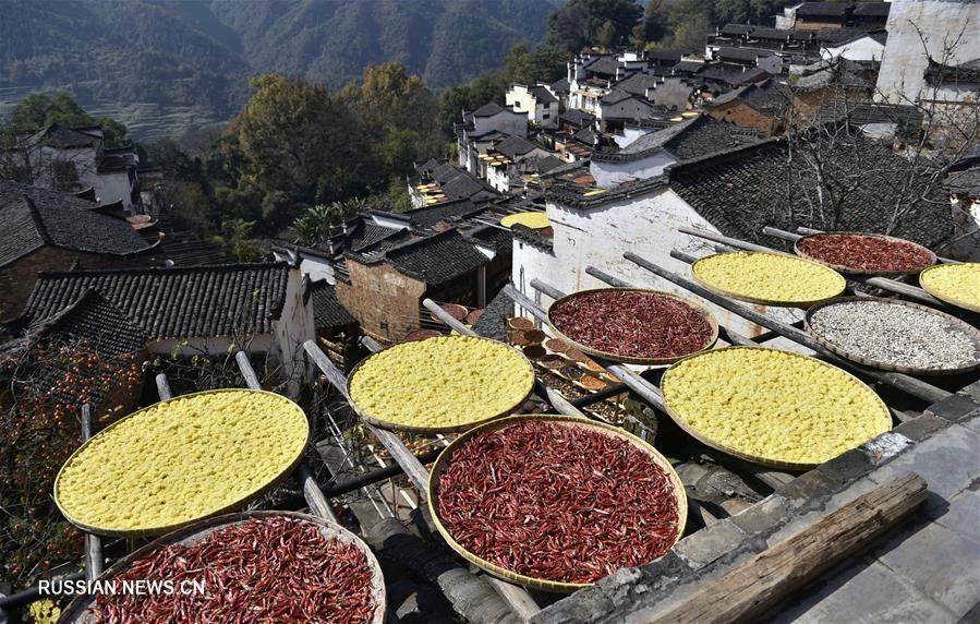 Конец осени и начало зимы в Китае