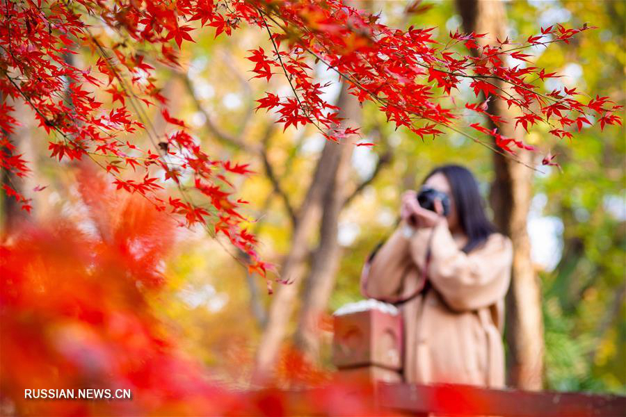 Конец осени и начало зимы в Китае