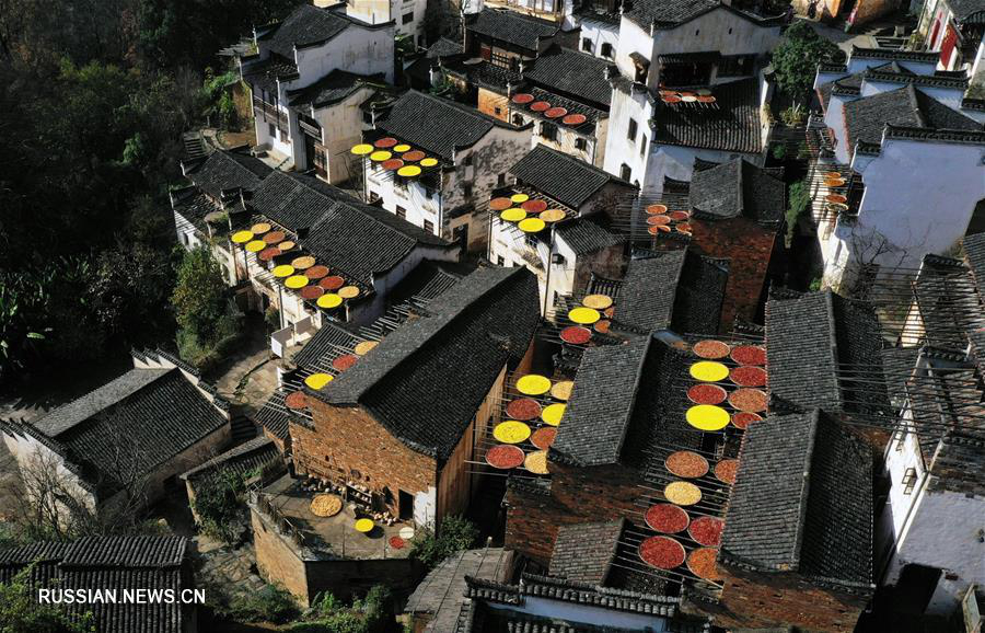 Конец осени и начало зимы в Китае