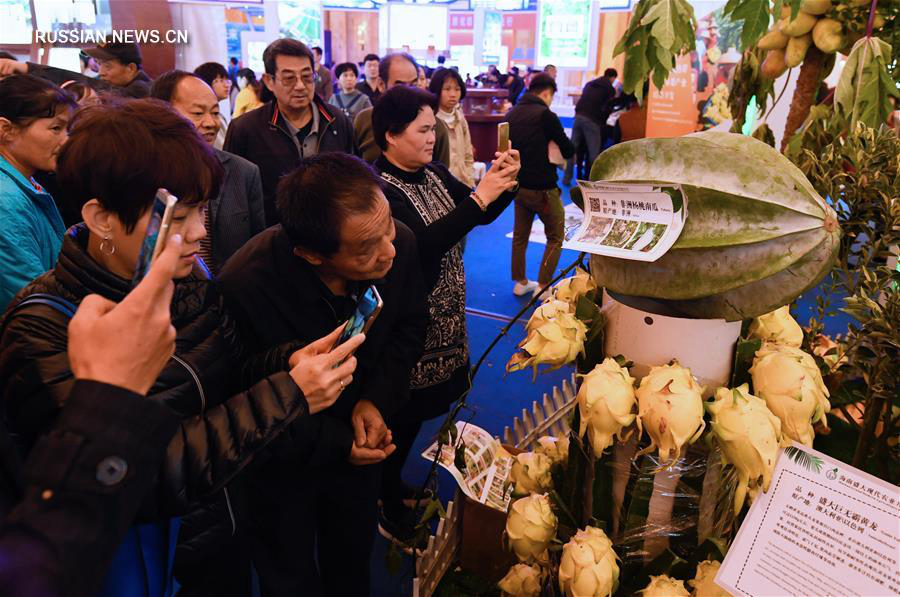 На хайнаньской международной сельскохозяйственной ярмарке оформлено заказов на сумму свыше 77 млрд юаней