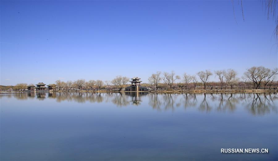 На деревьях у озера Куньминху в пекинском парке Ихэюань распустились прекрасные весенние цветы. 